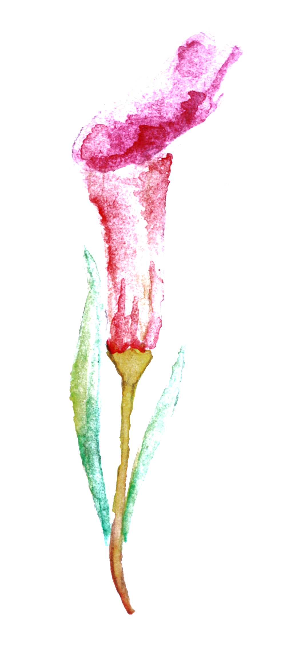 Watercolor Painting (1024x2423), Png Download