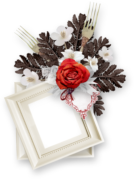 Marco Rahmen Cadre Frame Tube Png Quadro - Garden Roses (600x780), Png Download