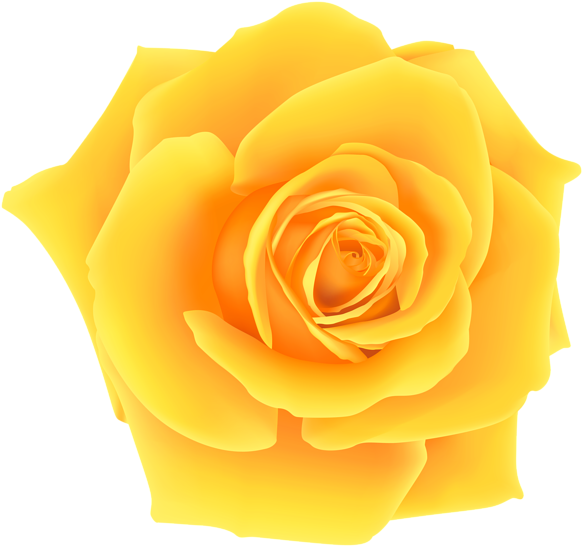 Yellow Roses Clip Art Yellow Rose Png Clip Art Image - Rosa Amarela Png (600x557), Png Download