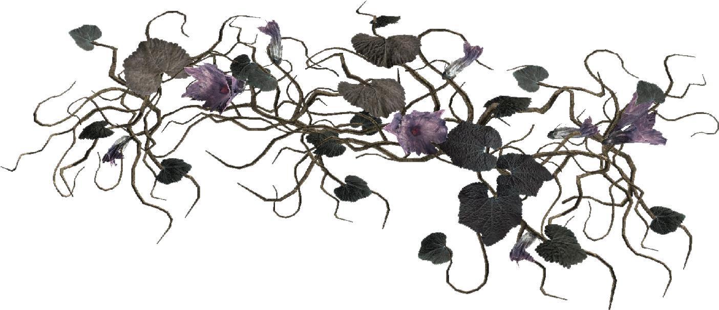 Fo4 Wild Melon Vine - Japanese Honeysuckle (1523x810), Png Download