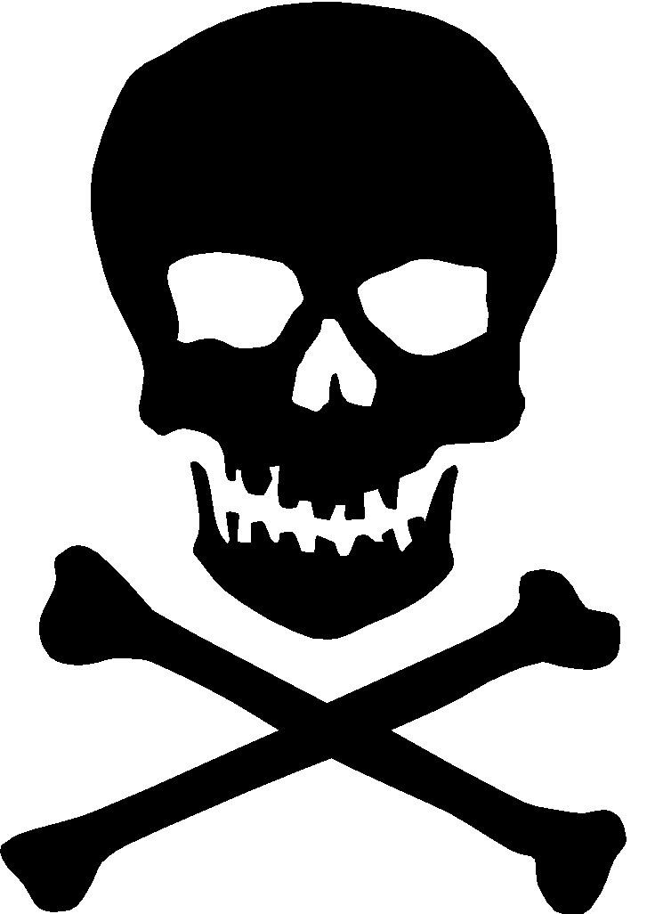 Skull & Crossbones Bw - Skull With 2 Bones (736x1026), Png Download