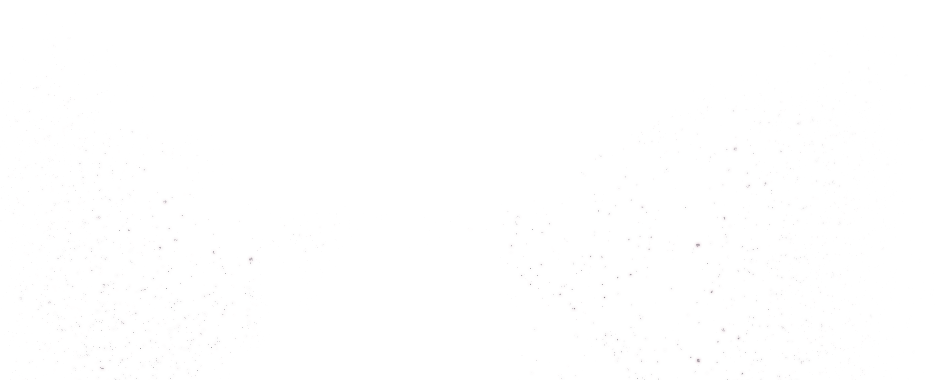 Stars Image - - Monochrome (1920x800), Png Download