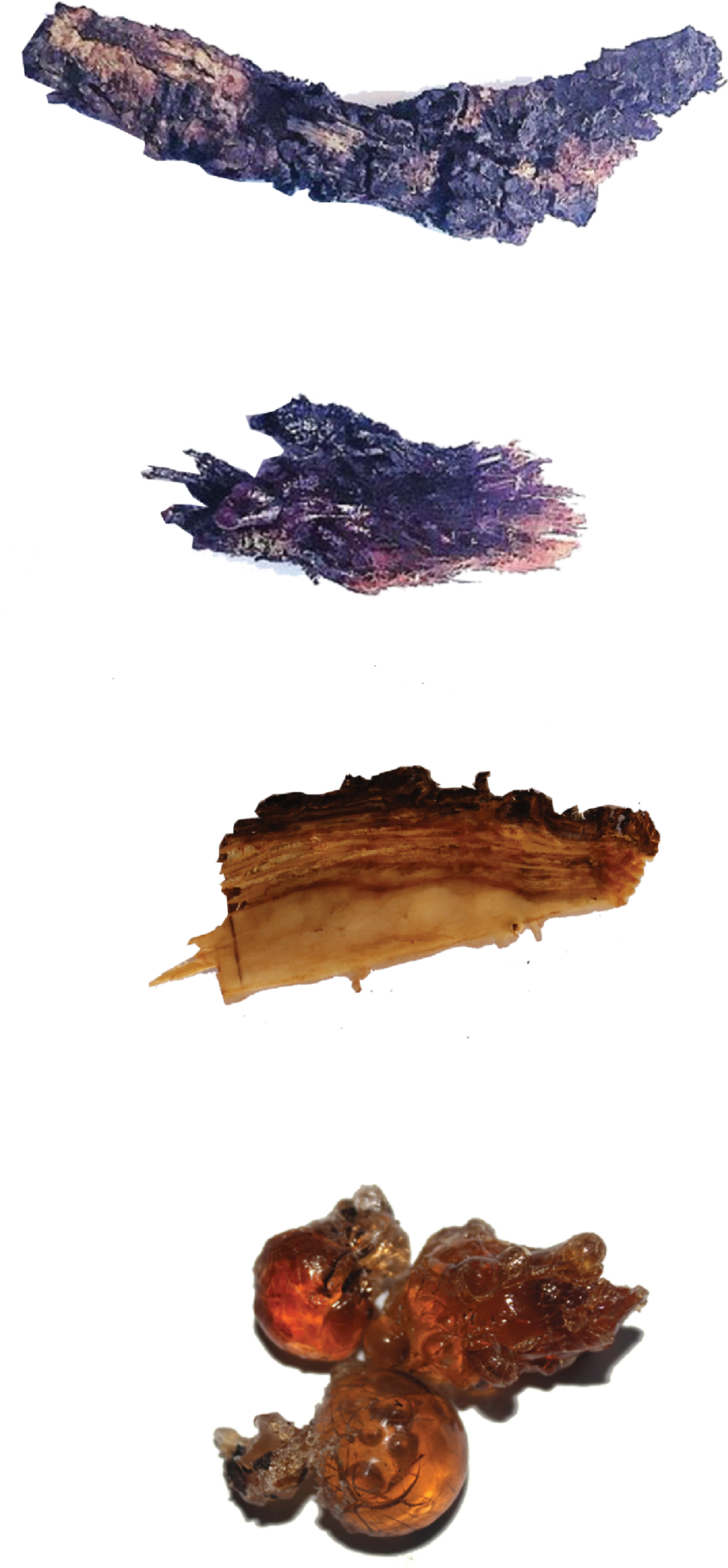 Untitled-2 - Portable Network Graphics (1000x2294), Png Download