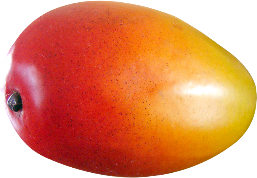 Download Mango Fruit Png Image - Mango Fruit Images Png (500x352), Png Download