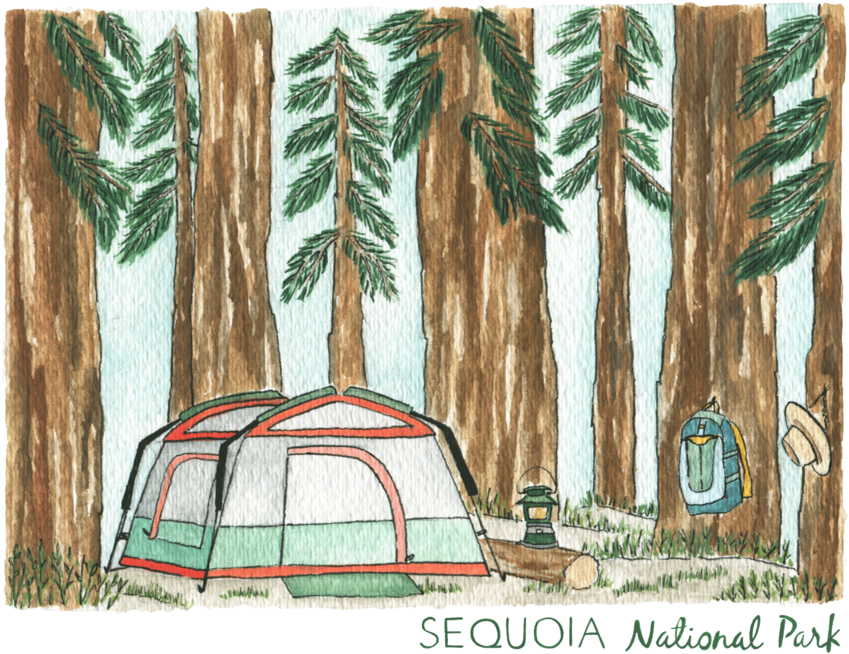 You Can Purchase Prints And Calendars In My Shop (1000x800), Png Download