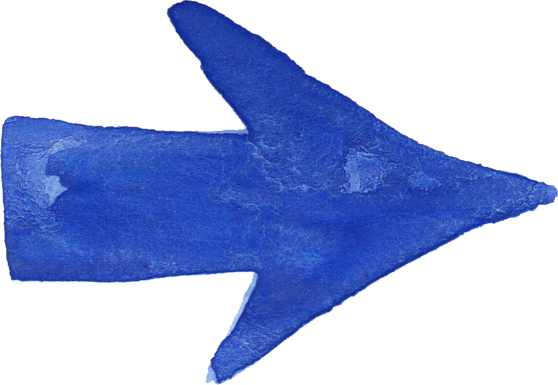 Free Download - Shark (1104x762), Png Download