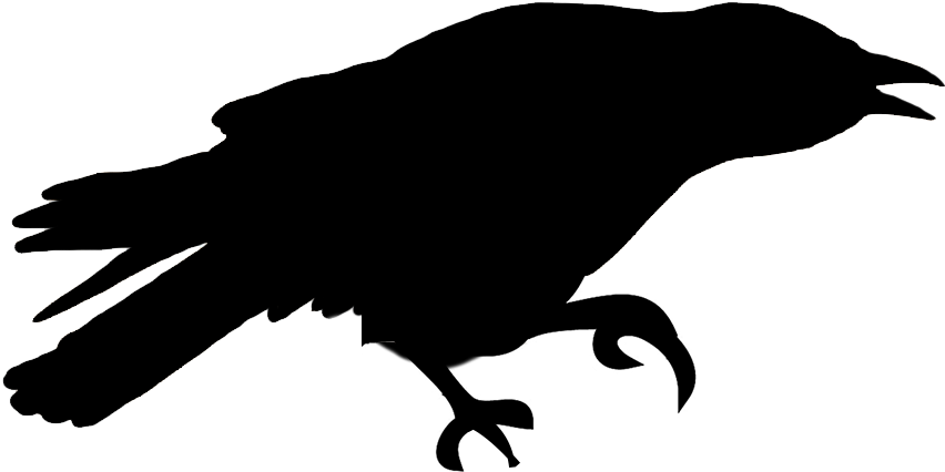 Bird Silhouettes - Sitting Bird Silhouette Png (870x499), Png Download
