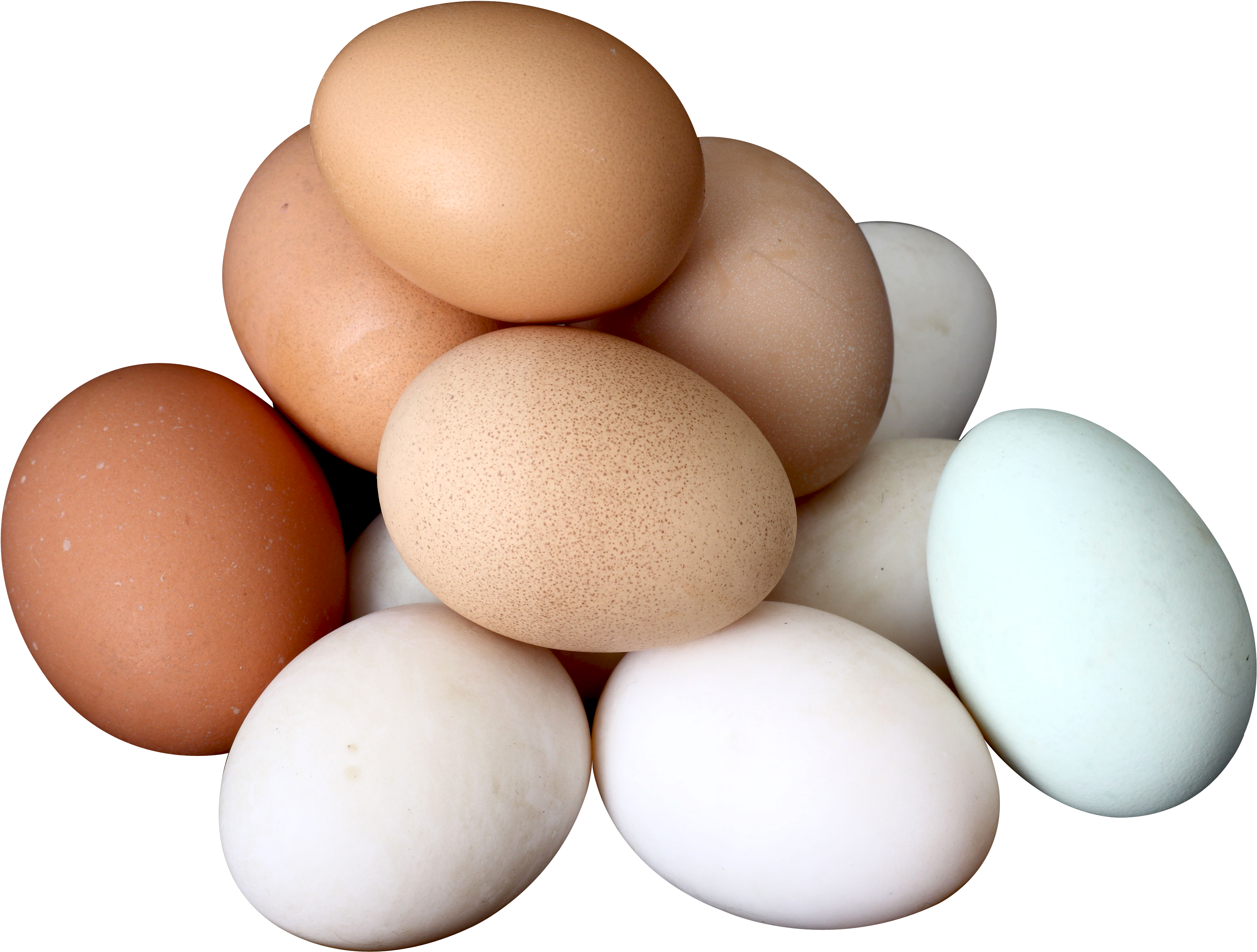 Egg Png (3000x2283), Png Download