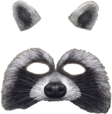 37 Images About Snapchat Filters ♡ On We Heart It - Snapchat Raccoon Filter Png (425x463), Png Download