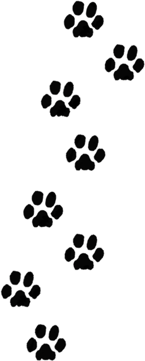 Dog Paw Prints Png (321x760), Png Download