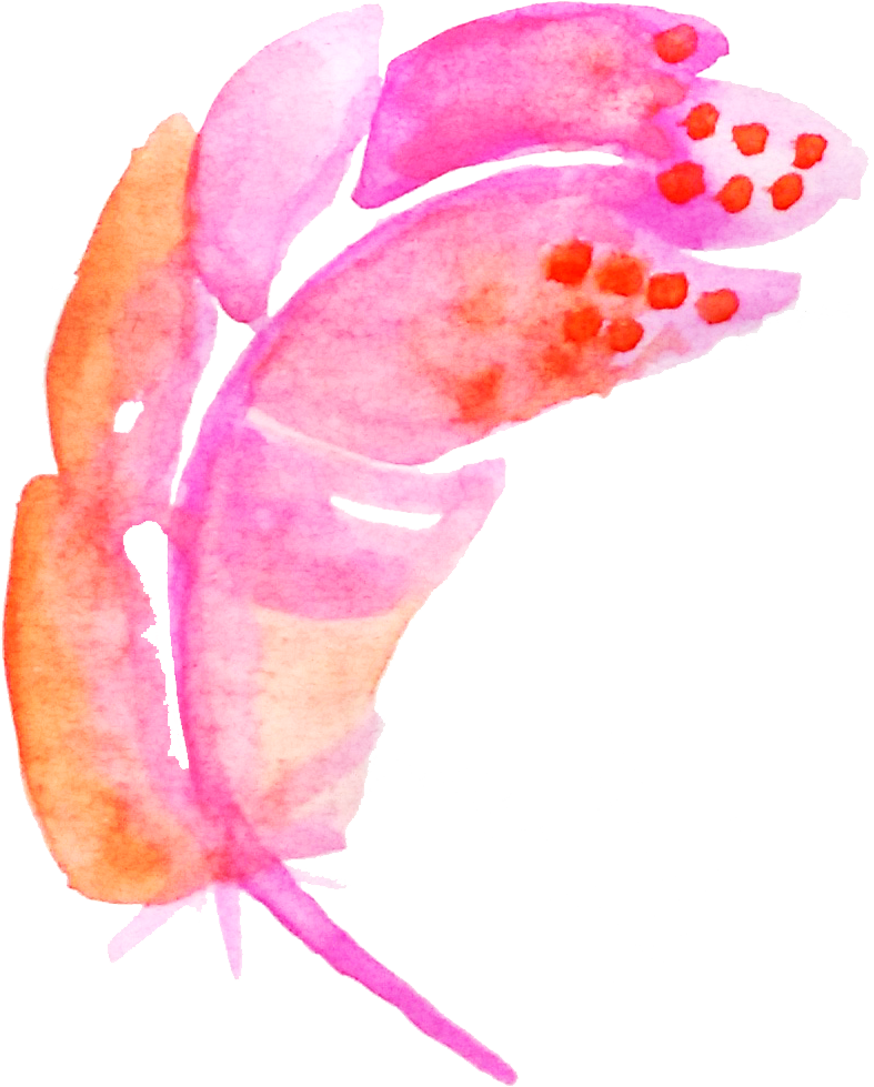 Feather Pink - Watercolor Painting (787x979), Png Download