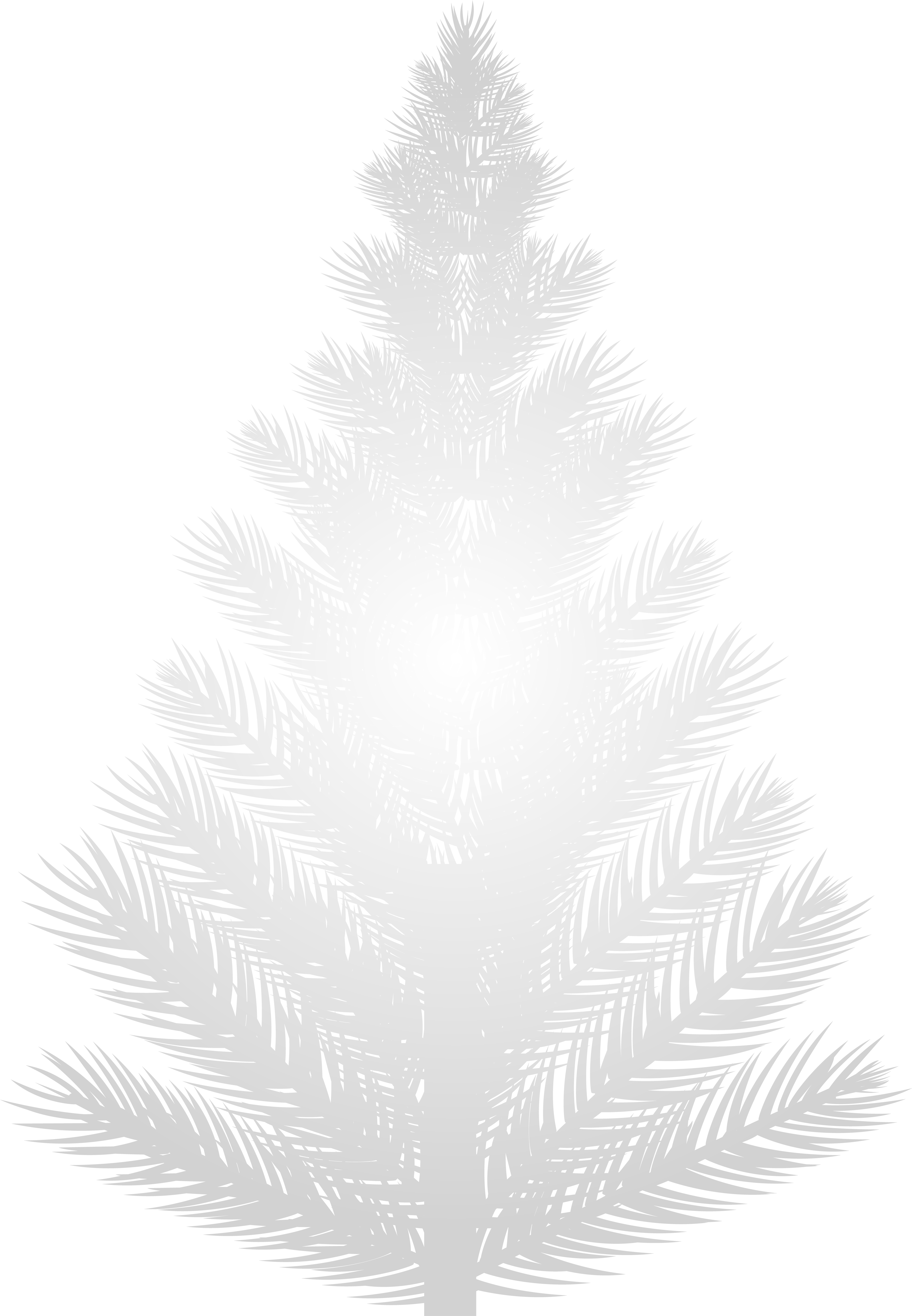 White Pine Tree Png Clip Art Image - White Pine Tree Png (5546x8000), Png Download