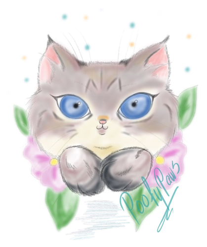 Poofy Paws - Art (653x500), Png Download
