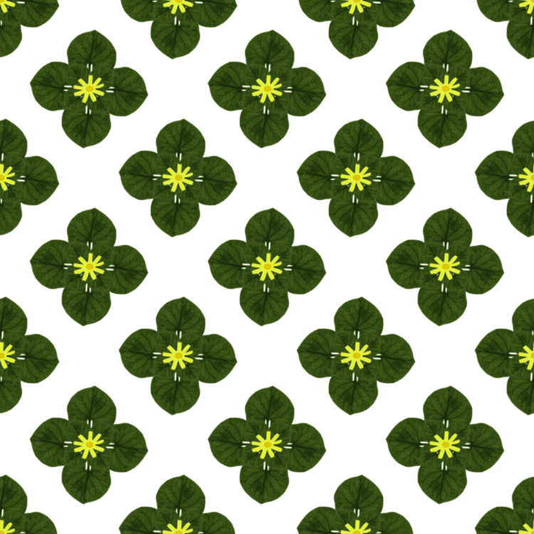 Ornament Drawing Watercolor Painting - Illustration (750x750), Png Download