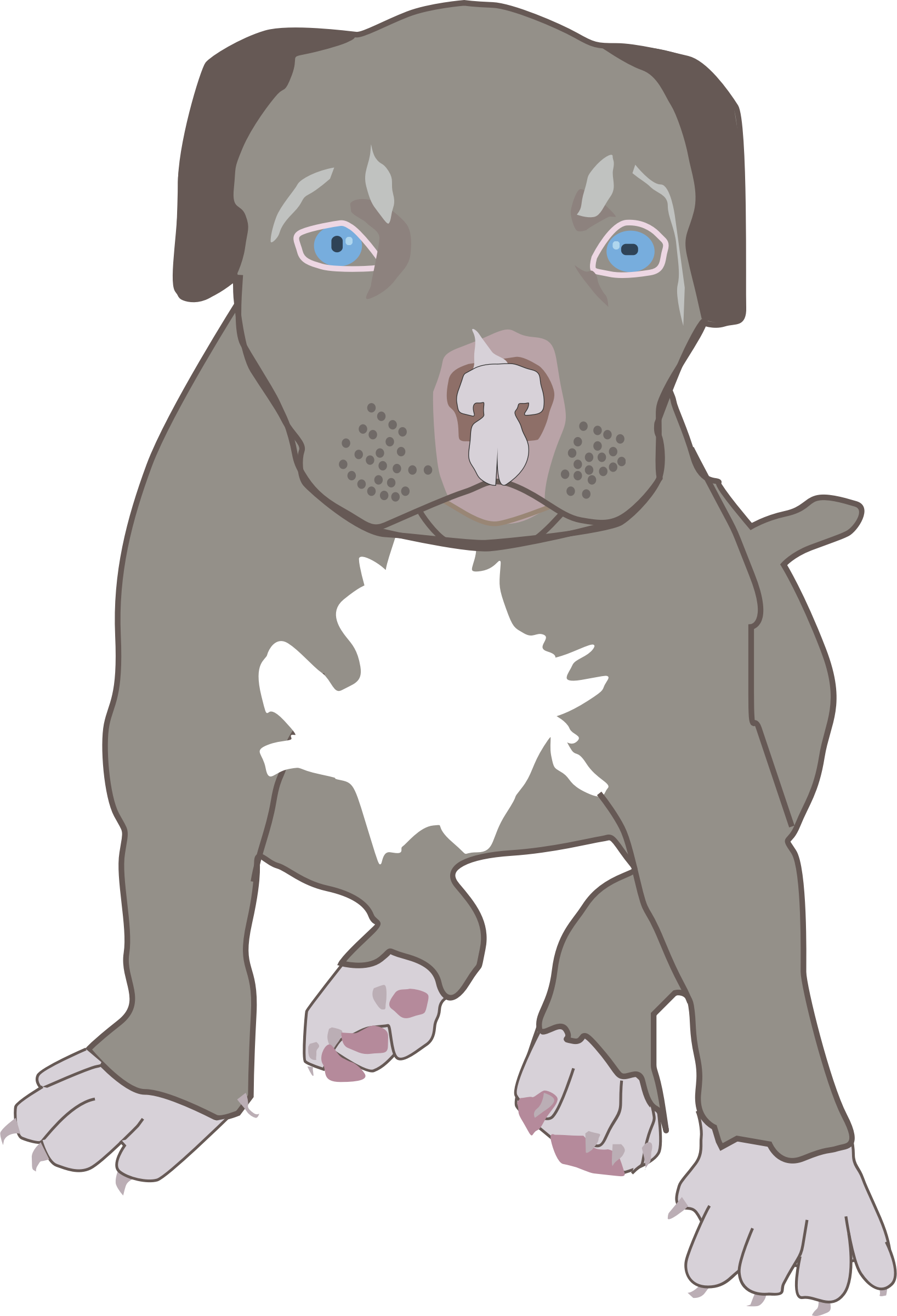 This Free Icons Png Design Of Pit Bull Puppy (1636x2400), Png Download