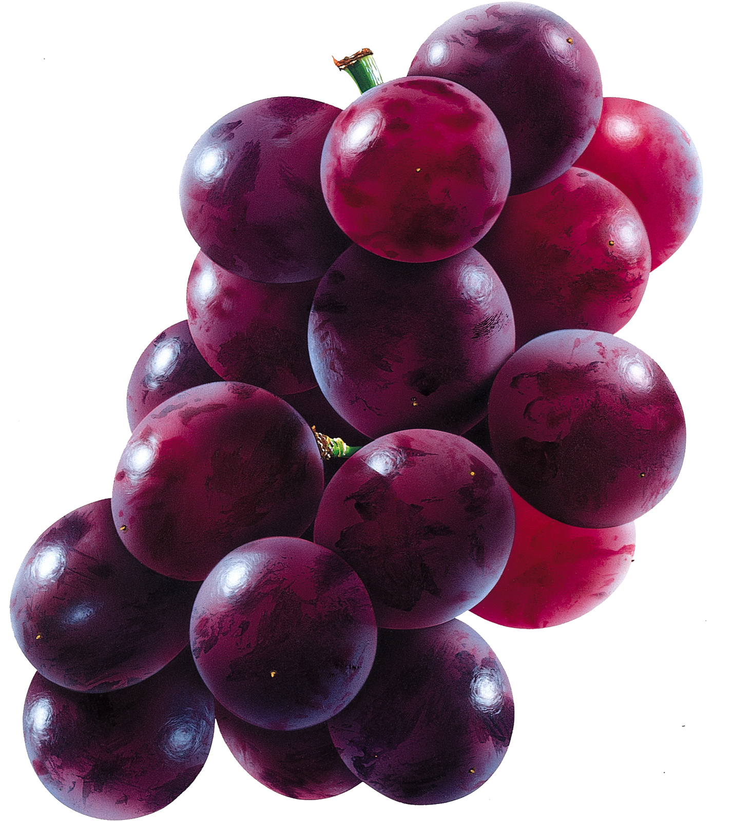 Free Png Red Grapes Png Images Transparent - Grapes Png (480x538), Png Download