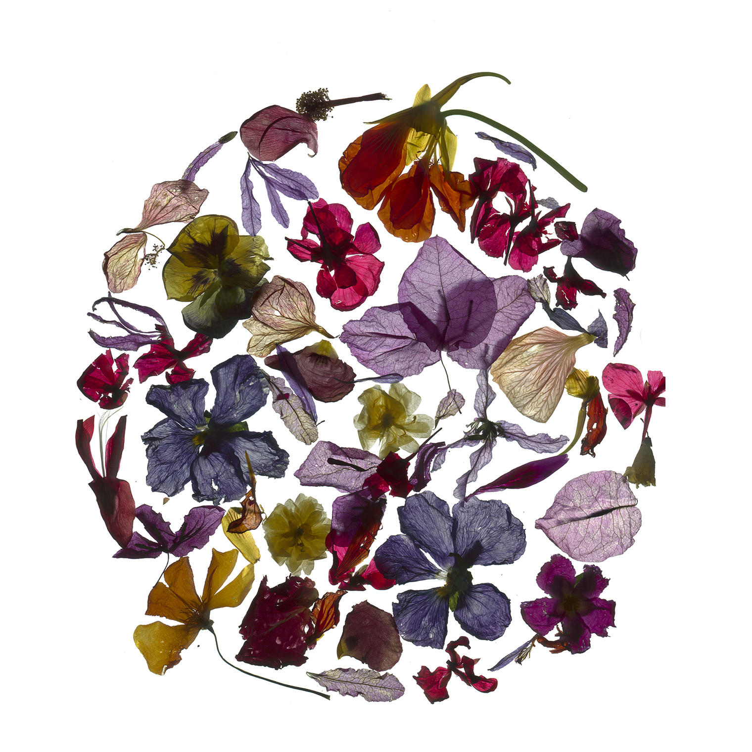 Artificial Flower (1520x1520), Png Download