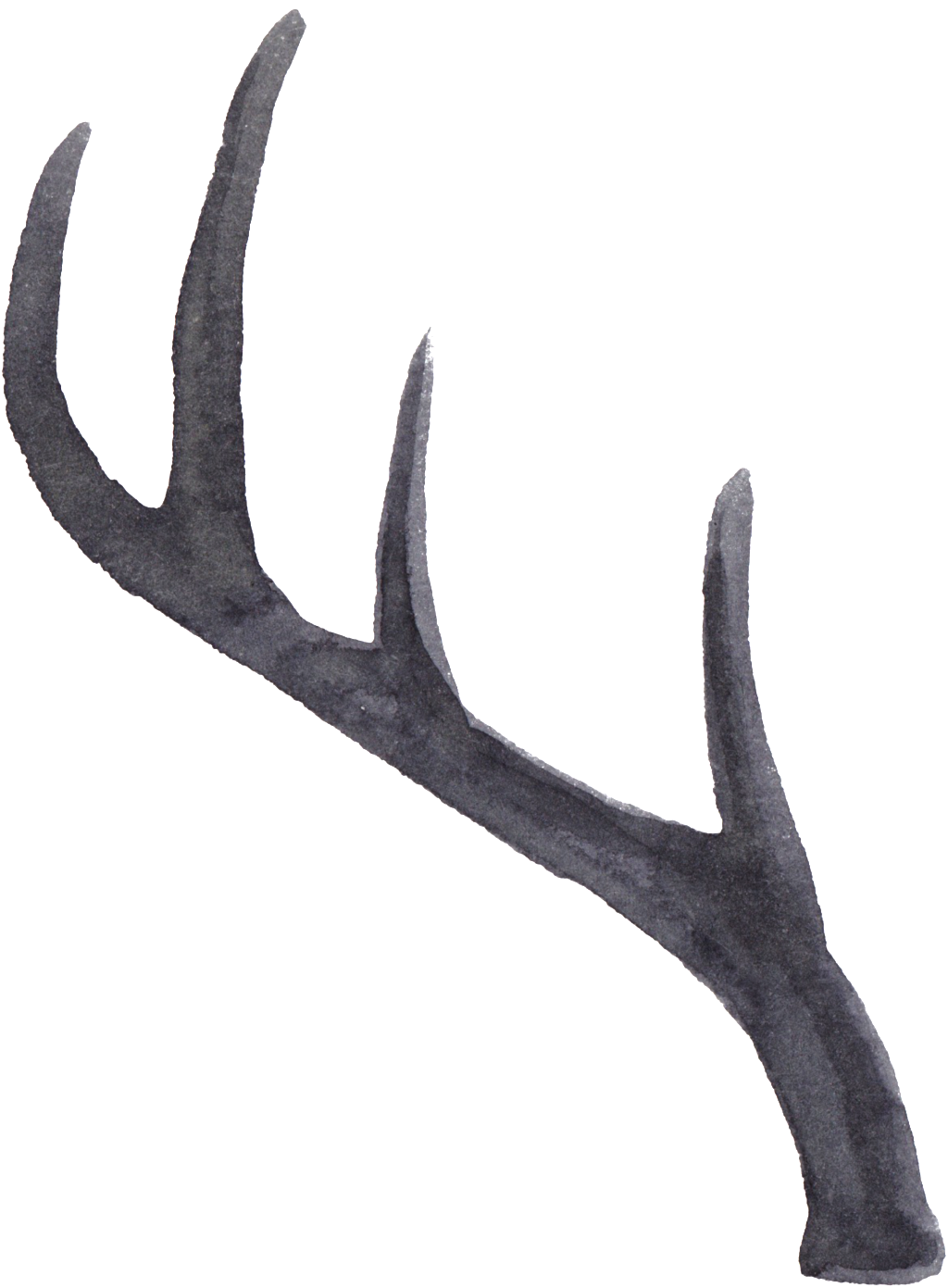 Portable Network Graphics (1024x1391), Png Download