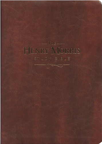 Previous - Next - Brown Soft Leather Bible (500x500), Png Download