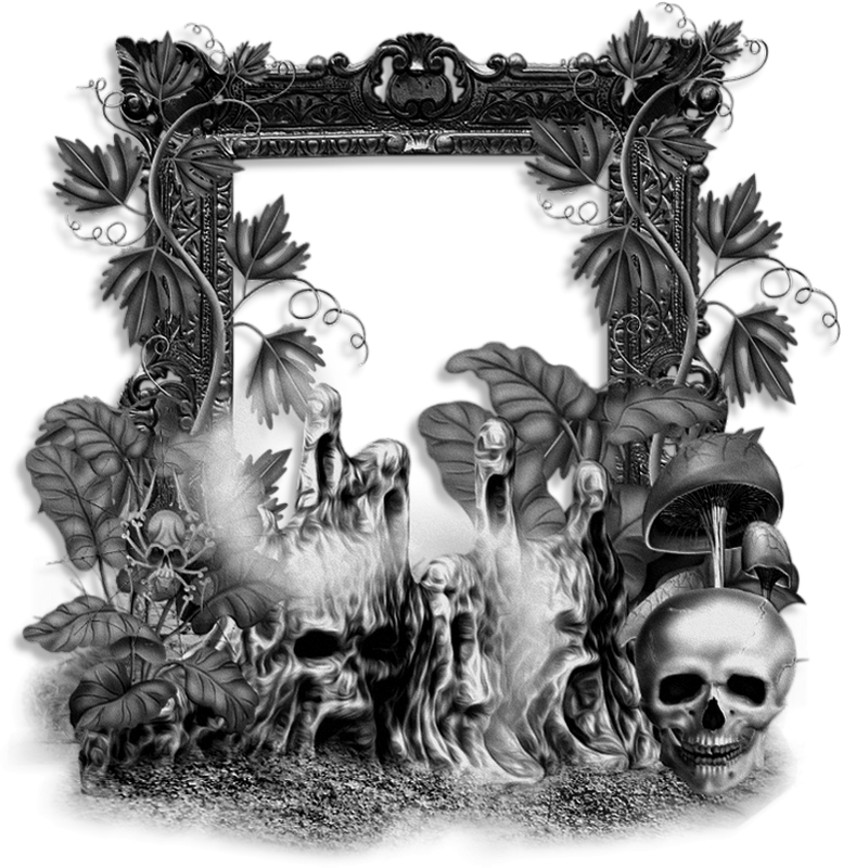 Picture Frame (777x800), Png Download