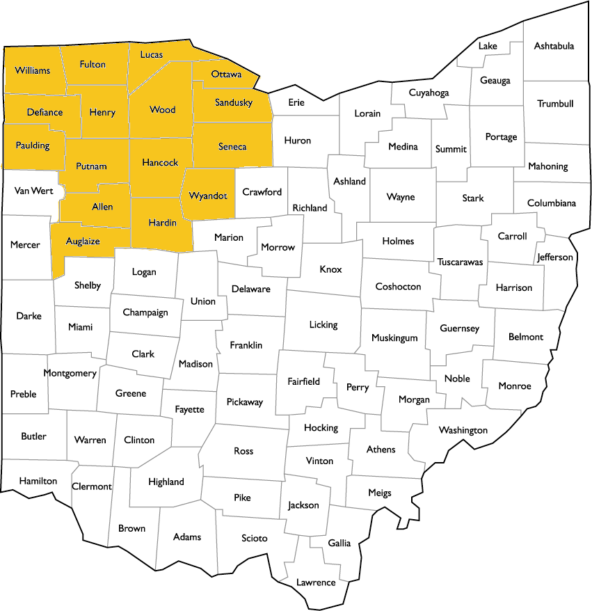 Golden Key Our Services Ohiomap - Ohio (851x878), Png Download