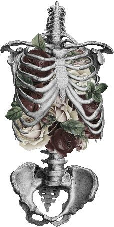 Flower Ribcage Http - Rib Cage Art Flowers (500x636), Png Download