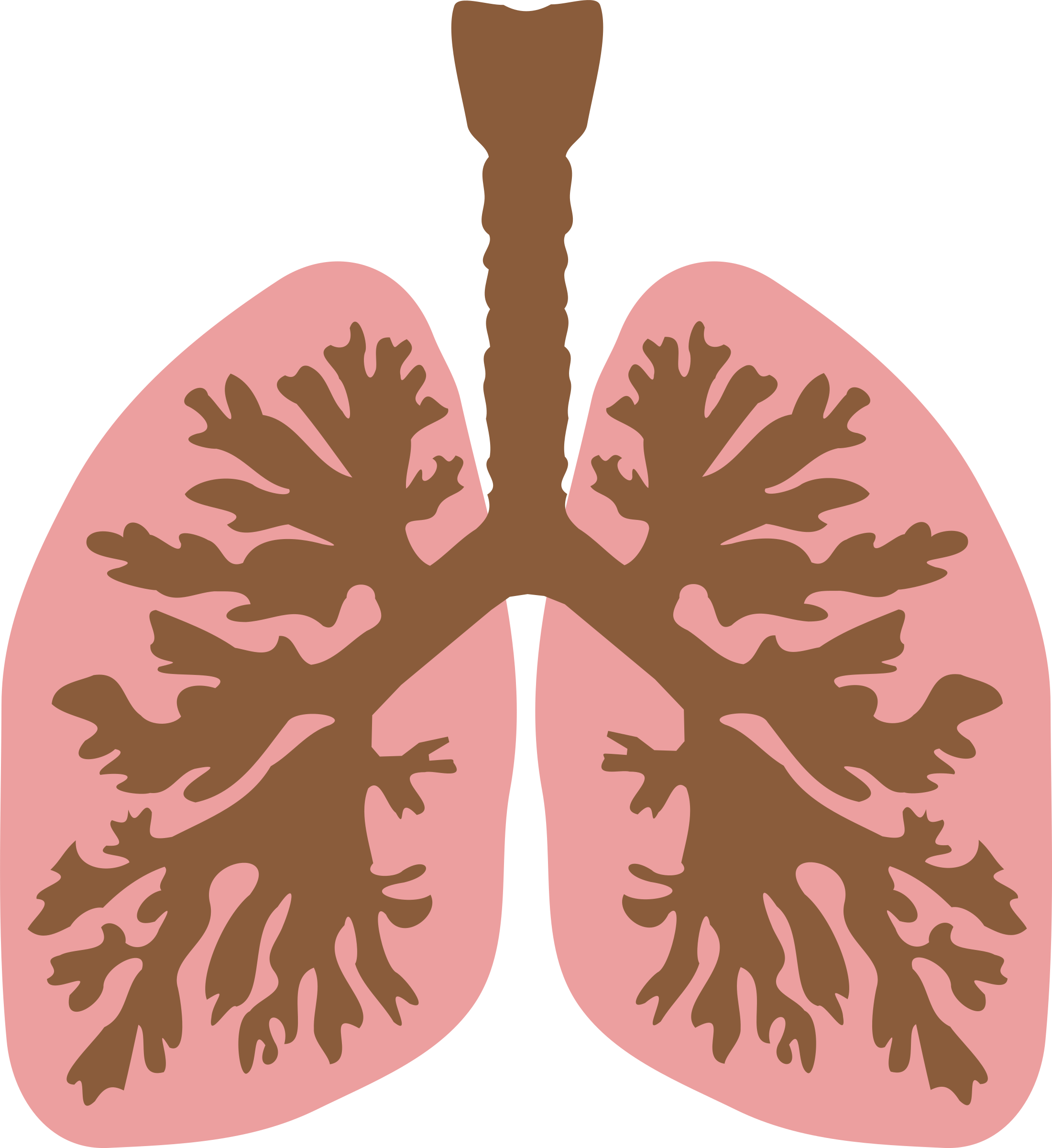 Lung Respiratory Tract Human Body Download Rib Cage - Lungs Clipart Png (688x750), Png Download