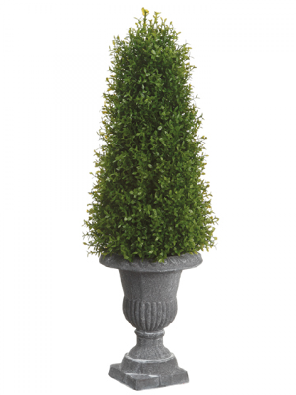 20" Tea Leaf Cone Topiary In Paper Mache Urn Green - Silksareforever 20" Tea Leaf Cone-shaped Artificial (800x800), Png Download