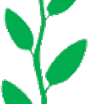 Tea Leaf (400x400), Png Download