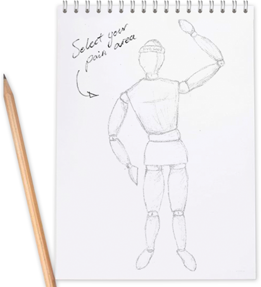 Thoracic Spine - Drawing (540x610), Png Download