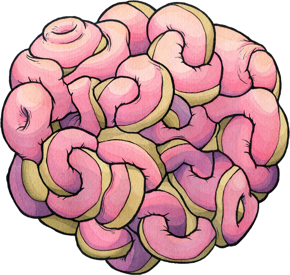 28 Collection Of Donut Drawing Png - Donuts Draw Png (995x943), Png Download
