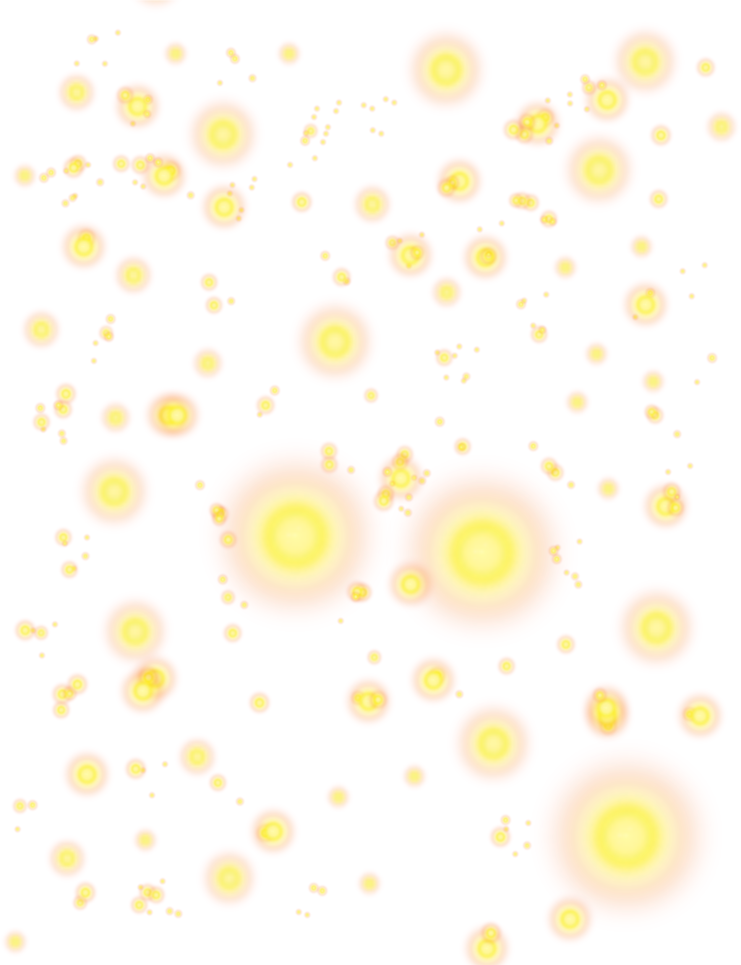 Circle (2544x3264), Png Download