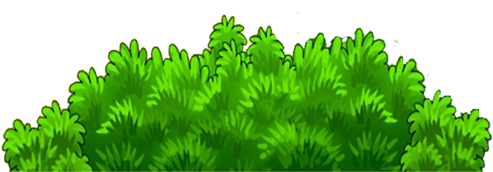 Plantas Png - Illustration (1600x567), Png Download