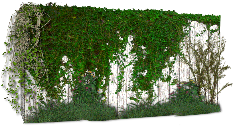 Photoshop Enredadera (830x445), Png Download