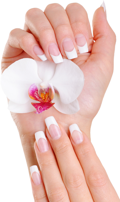 Nails Express (412x656), Png Download