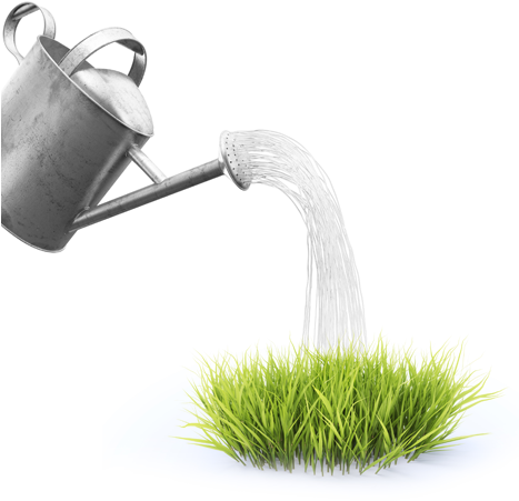 Es Muy Probable Que Las Plantas Sufran Algunos Daños - Sac Gazon Rapide Perfect Grass Canada Green 1kg - Probache (466x458), Png Download