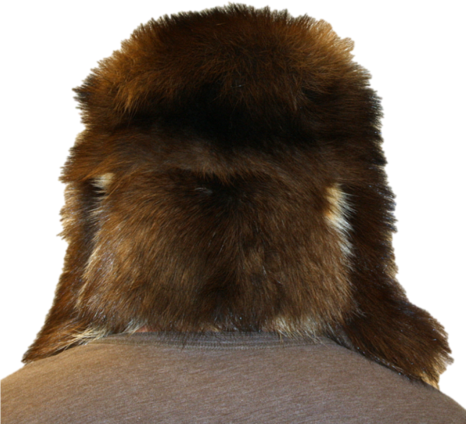 Free Download Fur Clipart Fur Clothing Ushanka (960x903), Png Download