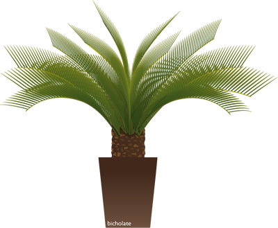 Plantas De Ornato - Plantas De Ornato Png (400x329), Png Download