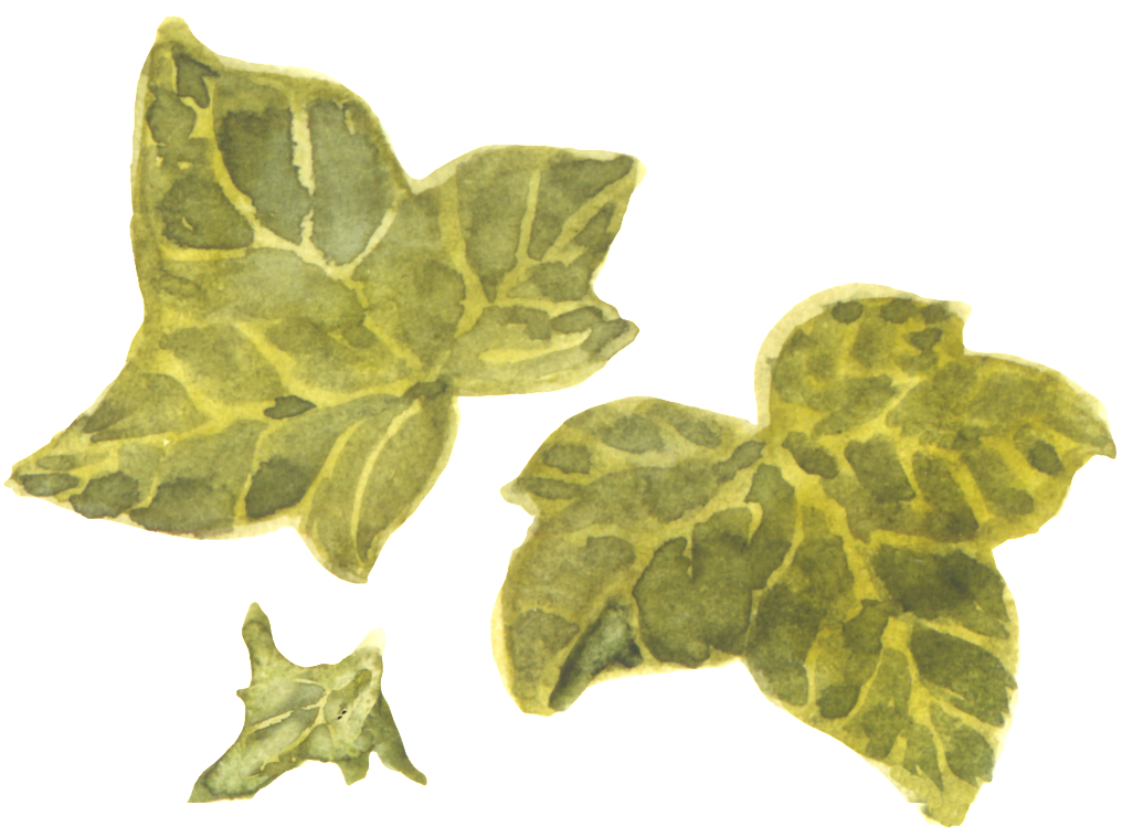 Green Leaves Transparent - Watercolor Painting (1024x758), Png Download
