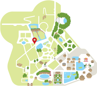 Cica4 - Graphic Design (520x369), Png Download