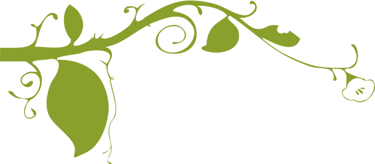 Borders And Frames Vine Ornamental Plant Ivy - Plants Black And White Border (774x340), Png Download