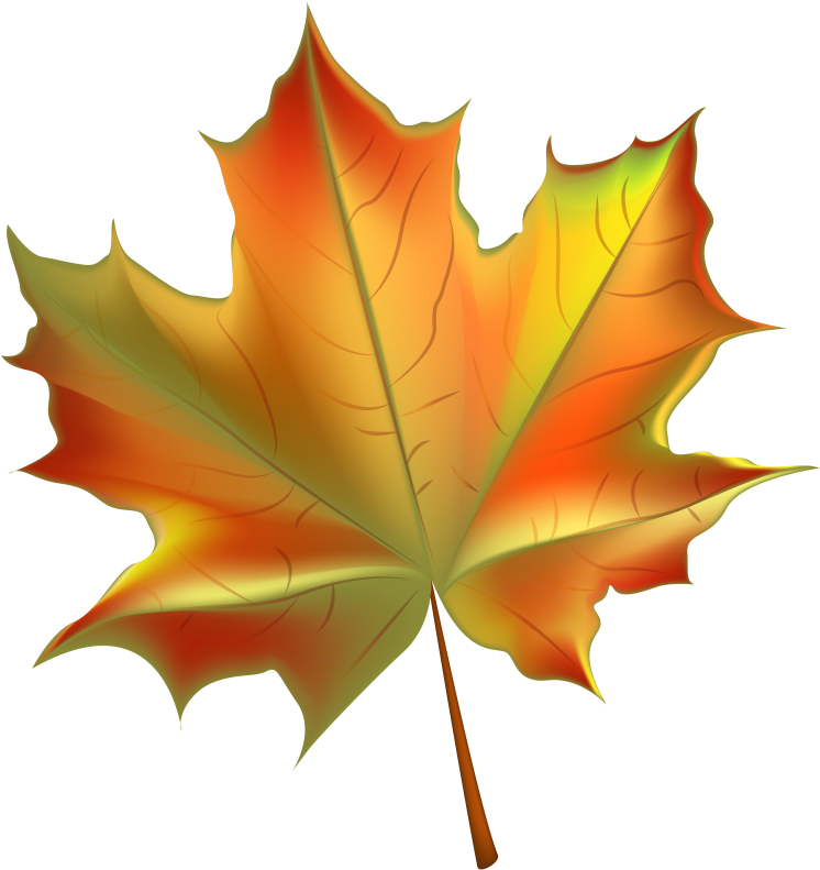 Pin Autumn Leaves Background Clipart - Fall Leaves Clip Art (755x800), Png Download