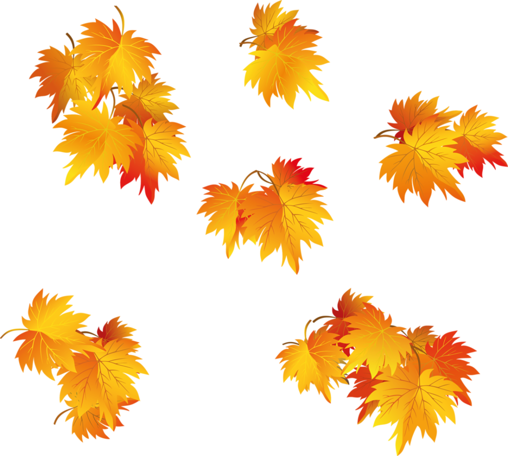 Tubes Arbres / Arbustes / Feuillages - Maple Leaves Clip Art (1024x918), Png Download
