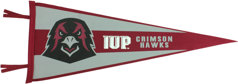 Pennant, Hawk Head & Iup Monogram - The Co-op Store (800x293), Png Download