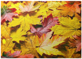 Photography (400x400), Png Download