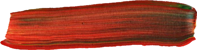 Free Download - Thread (687x176), Png Download