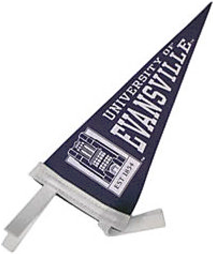 Mini Pennant - Triangle (1000x1000), Png Download