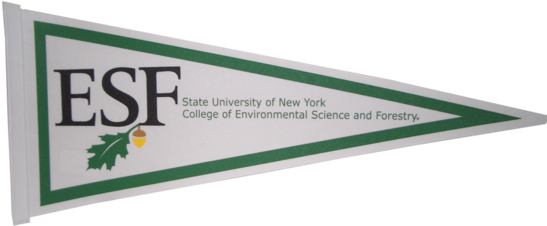 Pennant - Pennant - Pennant - Suny Esf (567x285), Png Download