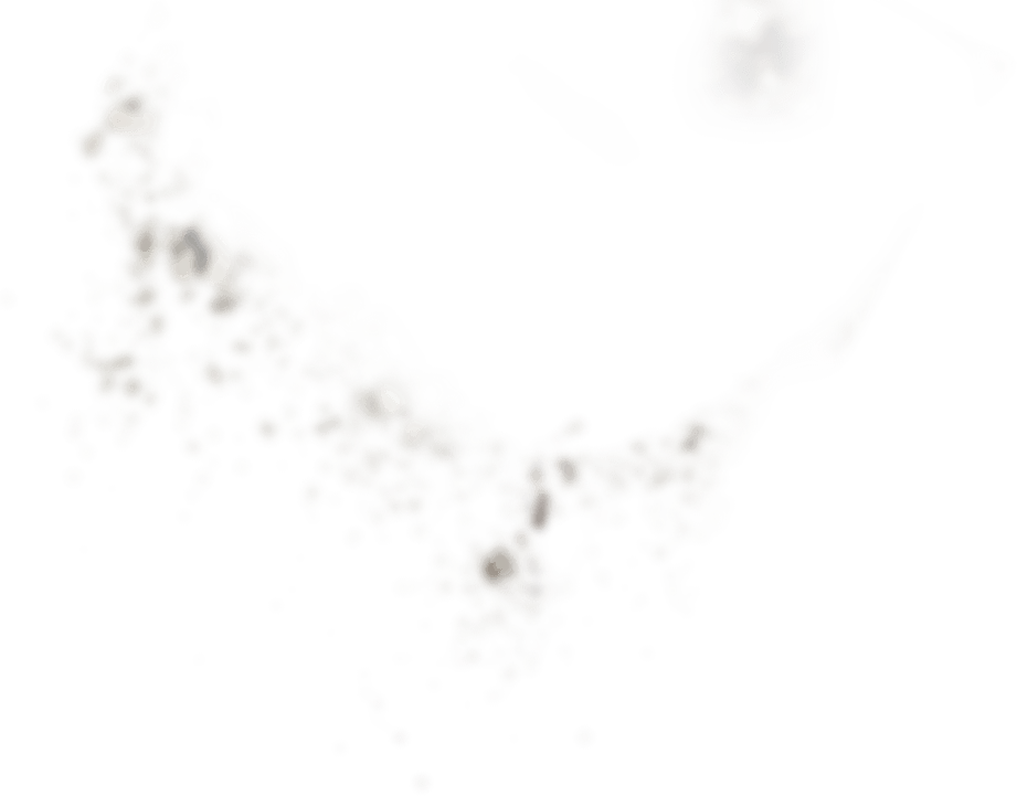 Only 99 Calories For 17 Pieces - Monochrome (921x721), Png Download