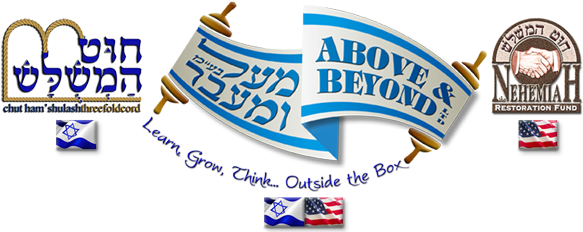 Graphic Design (620x240), Png Download